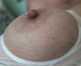 Nurse on my tits while I jerk you off a hot load of spunk.