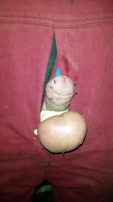 paintoy for the strict cruel Woman