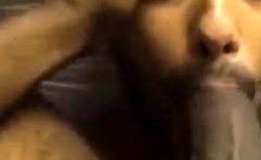 Indian Suck A Black