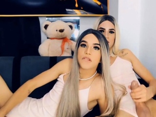 Sizzling Horny Shemale Enjoy Their Dick