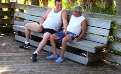 older gays have sex in public park