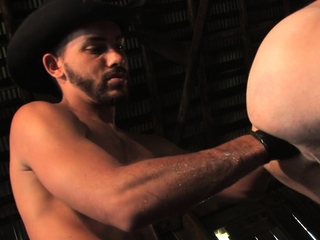 Stable gay on hay gets fisted by cowboy