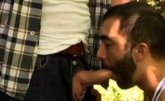 Hot Daddies Wild Wood Adventure